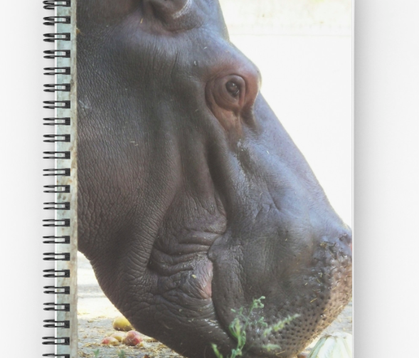 Hippo