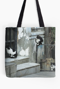 Three cats