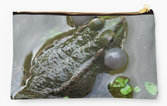 ZP-1094-FrogCroaking