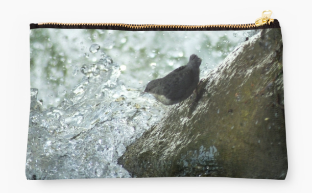 ZP-1093-BirdWaterfall
